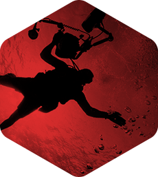 快速同步更新的手机轰炸